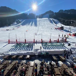 Le Schuss 3* Châtel